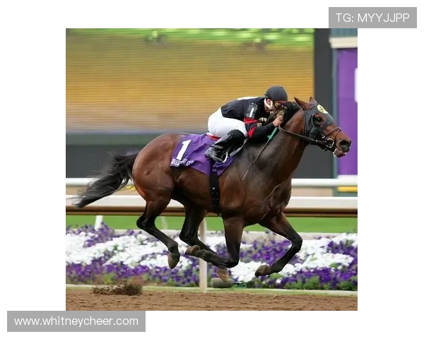 竞博体育赛事直播与竞猜攻略:掌握实用技巧赢取更多奖金 竞博体育赛事直播与竞猜攻略:掌握实用技巧赢取更多奖金