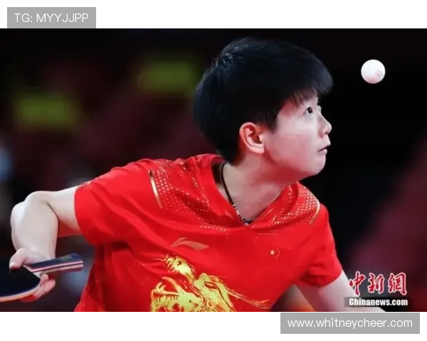 飞鲸体育的品牌故事：从创立到崛起的心路历程