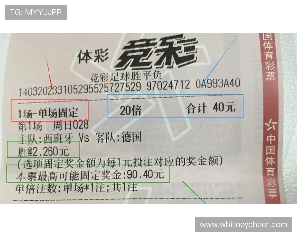 世界杯竞猜彩票规则与玩法全攻略，帮助新手快速入门实现高效投注